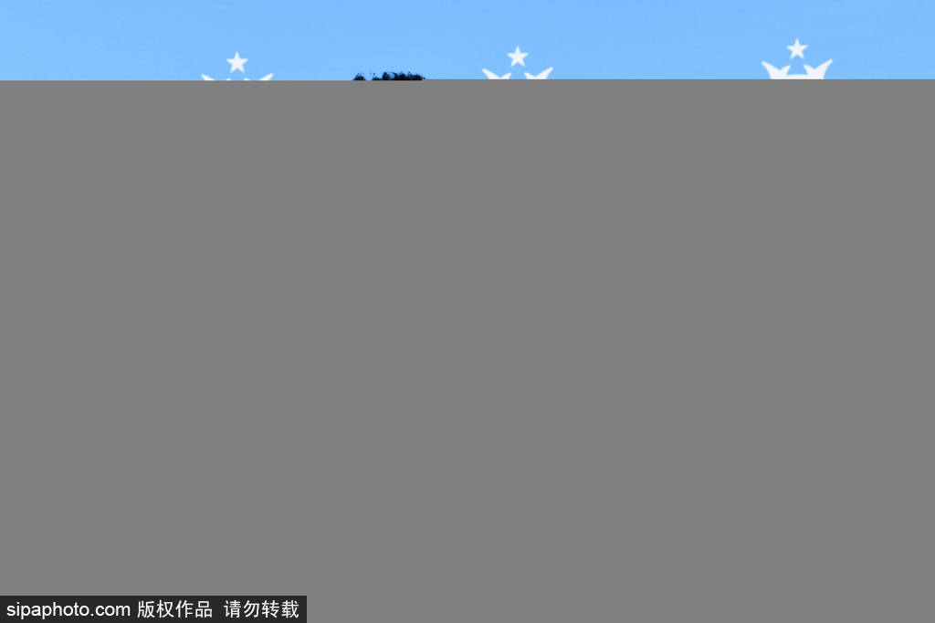 预测比分, 马赛挖来了, 但新帅路易