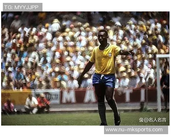 南阳市足球历史上的十大传奇球星盘点与荣誉成就分析