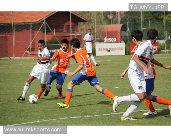 电白足球球星崛起之路：从青训到职业联赛的奋斗历程与成就